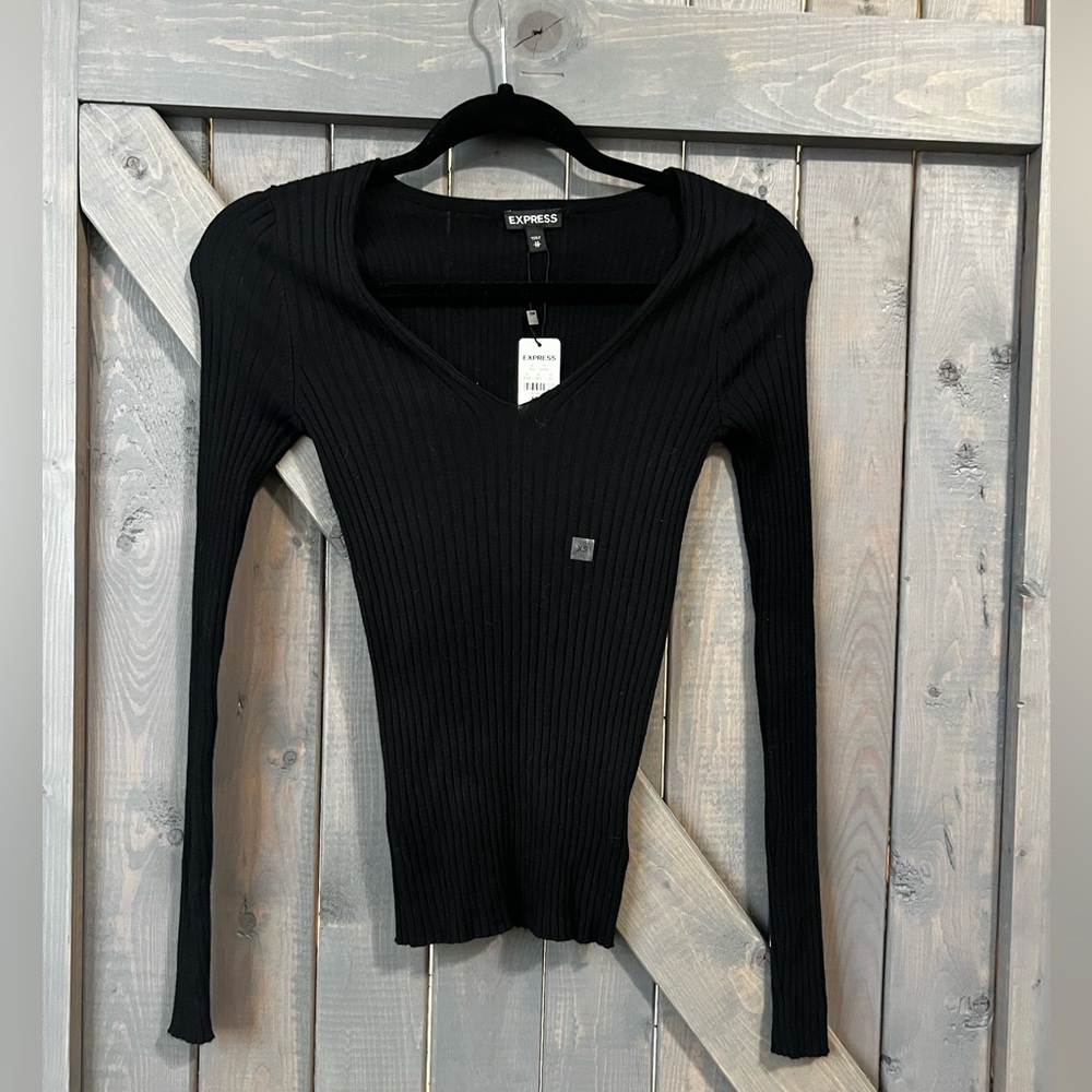 NWT Express V-neck sweater